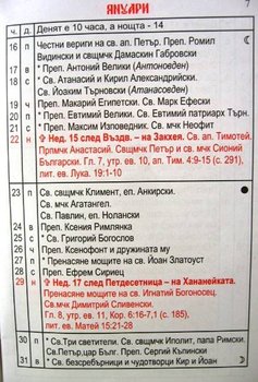 Picture1.jpg
