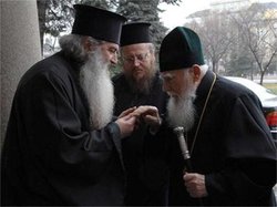 1_94.jpg